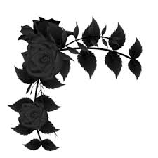 flower black rose vector art png images