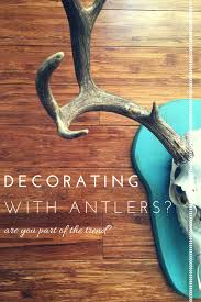 deer antlers decorating and a