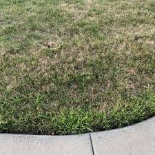 Wishing you and your family health and peace., ken and magali beyer. Emerald Lawn Care 16 Photos 37 Reviews Pest Control 3890 Industrial Ave Rolling Meadows Il Phone Number Yelp