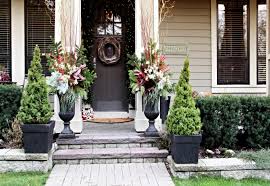 Potted Privacy Plants Container Shrubs