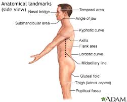 Arthritis is a condition that affects the. Flank Pain Information Mount Sinai New York