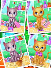 pet cat makeup salon game on the