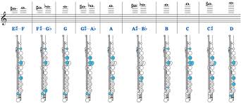 Flute Fingering Chart Toplayalong Com