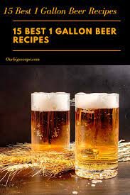 15 best 1 gallon beer recipes plus