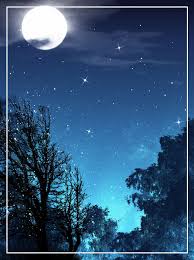 star night sky background woods