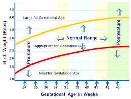 Baby Weight Chart When Born Babyzone Pregnancy Chart Average