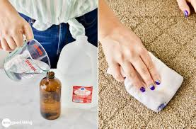 the best homemade carpet cleaning solution