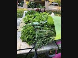 When To Plant Garden Vegetables In Il