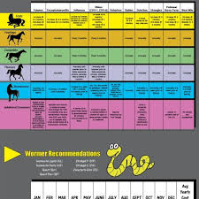 Equine Wormer Rotation Chart Related Keywords Suggestions