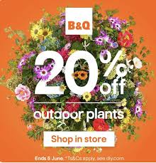 20 off outdoor plants in only b