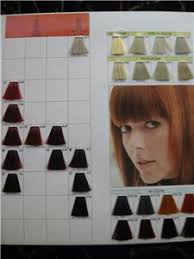Keune Tinta Color Professional Hair Color Chart New On Popscreen