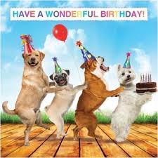 Funny birthday messages to make anyone's birthday special. 48 Happy Birthday Dog Ideas Happy Birthday Dog Happy Birthday Birthday