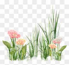 Foglie ghirlanda di fiori free png stock. Tubes Fiori In Png Bellissimi Grass Effects Hd Background Free Transparent Png Clipart Images Download