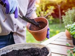 Learn What To Do With Old Potting Soil
