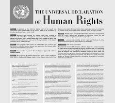 Human Rights Law Essay  The Universal Declaration of Human Rights    