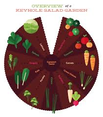 Salad Keyhole Garden