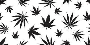 weed seamless pattern vector