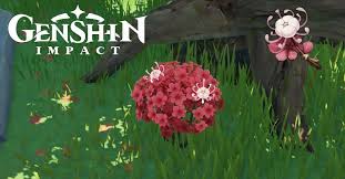 where to get silk flowers in genshin impact