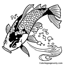 koi fish coloring pages printable for