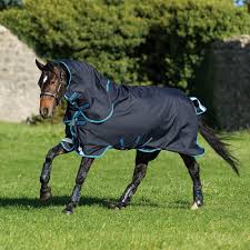 amigo rugs affordable rugs for horses