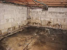 Get Rid Of Musty Smell In Basement