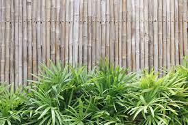 8 Amazing Ways To Hide A Fence With