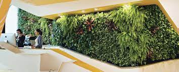 The Best Plants For Green Walls Geoplast
