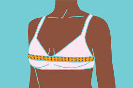 how to mere your bra size bra size