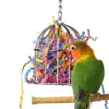 foraging toy for birds by super bird