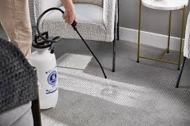 carpet cleaning lancaster sc clean