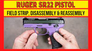 ruger sr22 field strip disembly
