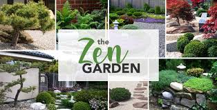 Zen Gardens Kiwi Nurseries Ltd