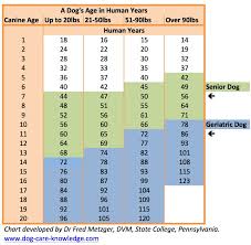 Dog Aging Chart Goldenacresdogs Com