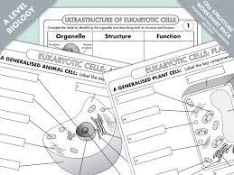 A Level Biology Cell Ultrastructure Worksheet Pack