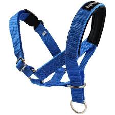 However they are widely regarded as ineffective by feline behavior experts, and inhumane by animal rights groups. Dog Head Collar Halter Blue 5 Sizes L 10 25 12 25 Snout Walmart Com Dog Training Collar Cat In Heat Dog Harness
