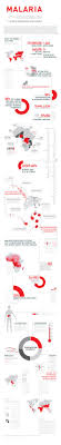 32 Best Malaria Images Infographic Malaria Parasite What