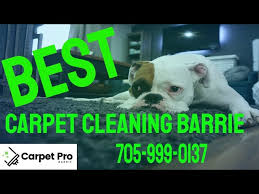 best carpet cleaning barrie barrie