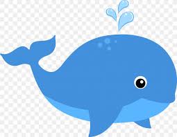 whale cartoon png 1800x1401px