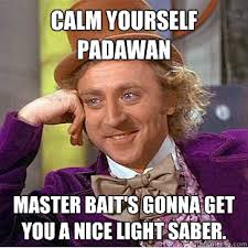 Calm yourself padawan Master Bait&#39;s gonna get you a nice light ... via Relatably.com