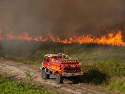 Incendies en Gironde : plus de 8 000 hectares de forêt ont brûlé, 12 000  personnes ont été évacuées