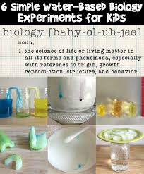 6 easy biology science experiments for