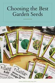 How To Choose The Best Garden Seeds