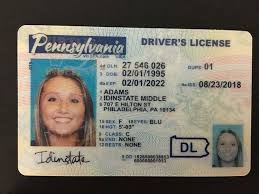 This is immediately checked and. California Id Maker In 2021 Driver License Online Passport Online Drivers License