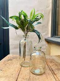 Clear Glass Jardin Bottle Stem Vase
