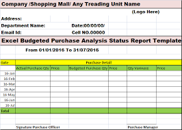 Budget Analysis Purchase My Reports Writing Designs Sample