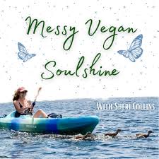Messy Vegan Soulshine