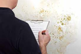 how much does a mold inspection cost