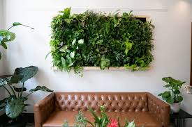 breathtaking living wall designs for