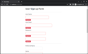 web page form validations with angular