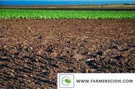 which soil is suitable for agriculture